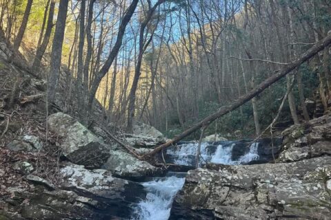 outdoor club goes hiking in mountains of Cherokee Forest